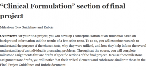 “Clinical Formulation” section of final project