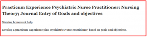 Practicum Experience Psychiatric Nurse Practitioner