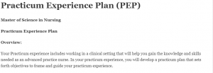Practicum Experience Plan (PEP)