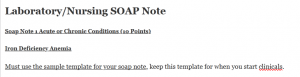Laboratory/Nursing SOAP Note