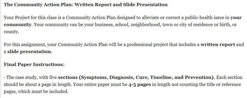 why community action plan is important essay