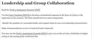 Leadership and Group Collaboration