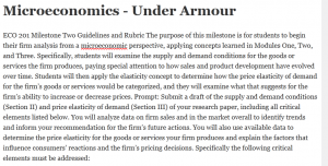 Microeconomics - Under Armour