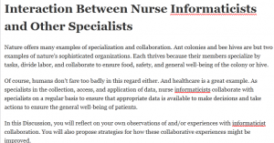 Interaction Between Nurse Informaticists and Other Specialists