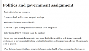 Politics and government assignment