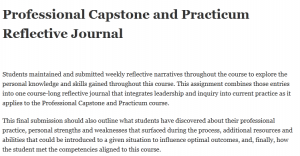 Professional Capstone and Practicum Reflective Journal