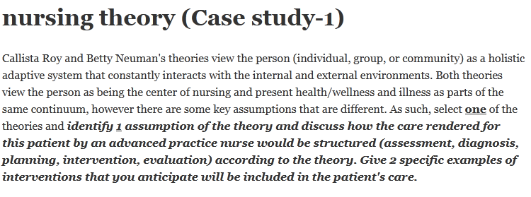 nursing theory case study