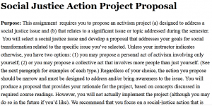 Social Justice Action Project Proposal