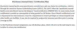                               Practicum Journal Entry: Certification Plan