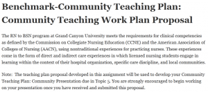 Benchmark-Community Teaching Plan: Community Teaching Work Plan Proposal