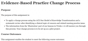 Evidence-Based Practice Change Process