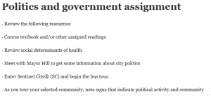 Politics and government assignment