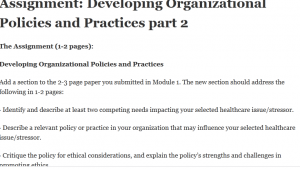 Assignment: Developing Organizational Policies and Practices part 2 