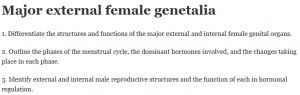Major external female genetalia