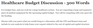 Healthcare Budget Discussion - 300 Words