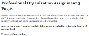 Professional Organization Assignment 3 Pages