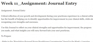 Week 11_Assignment: Journal Entry