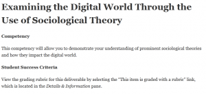 Examining the Digital World Through the Use of Sociological Theory